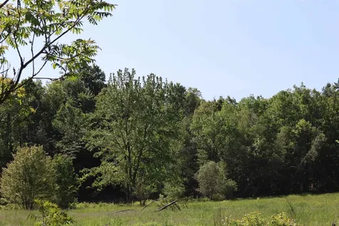 1041 Smead Road Salisbury VT 05769