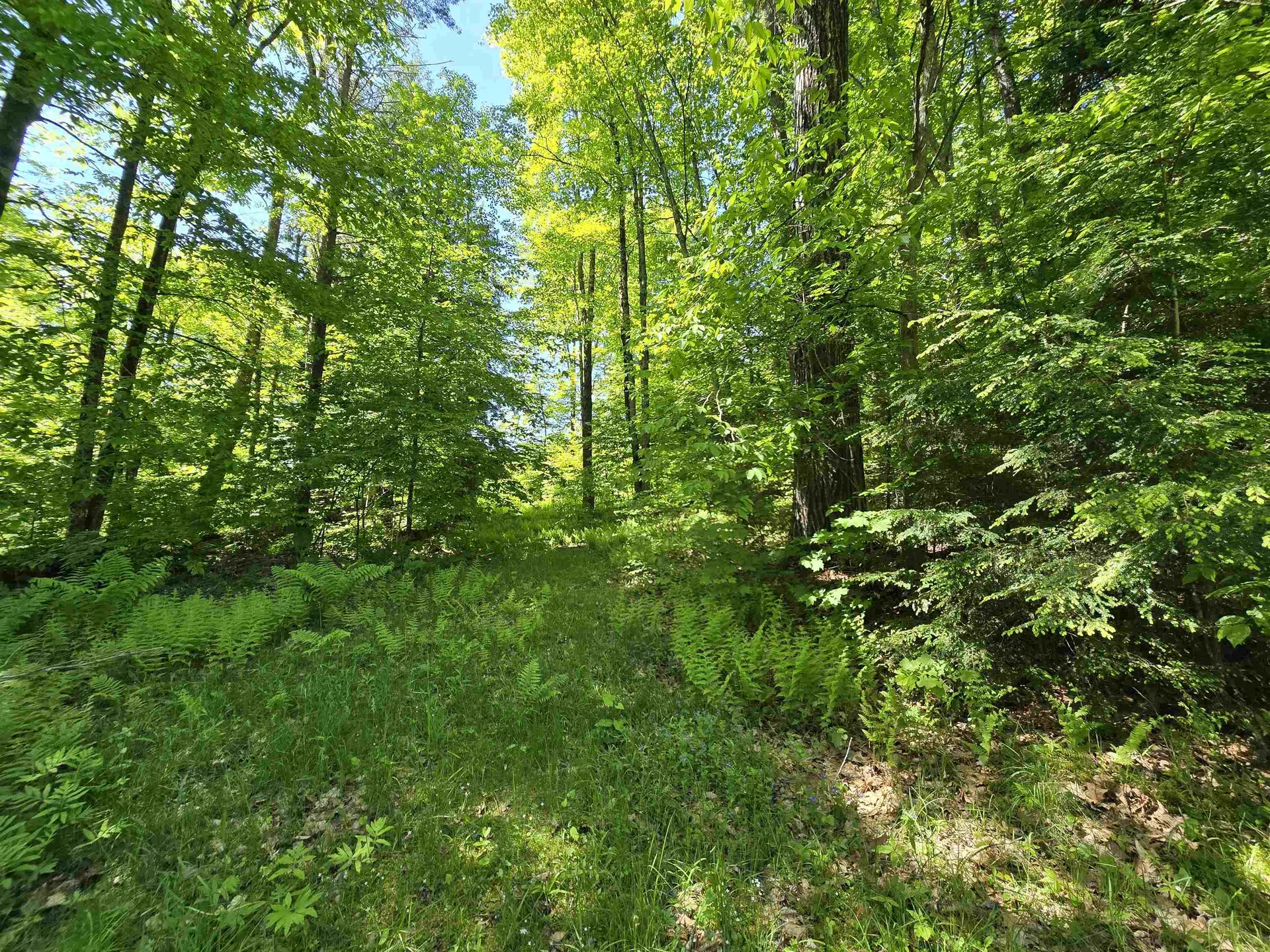 4087 Wallace Hill Road Wells River VT 05081