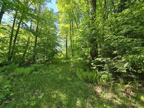 4087 Wallace Hill Road Wells River VT 05081