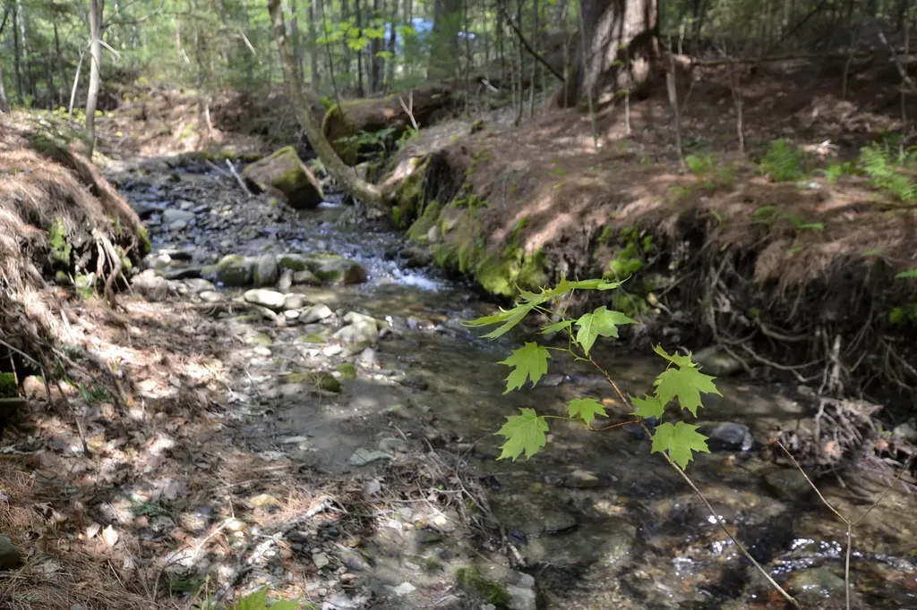 139 Deer Run Lane Waitsfield VT 05673