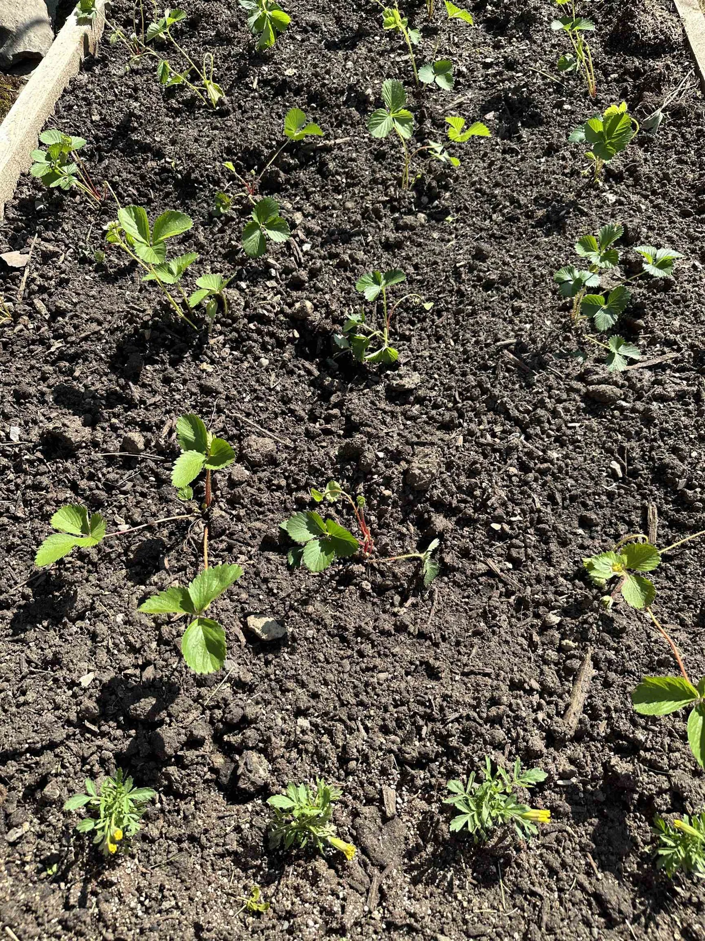 289 Pinnacle Road Richford VT 05476