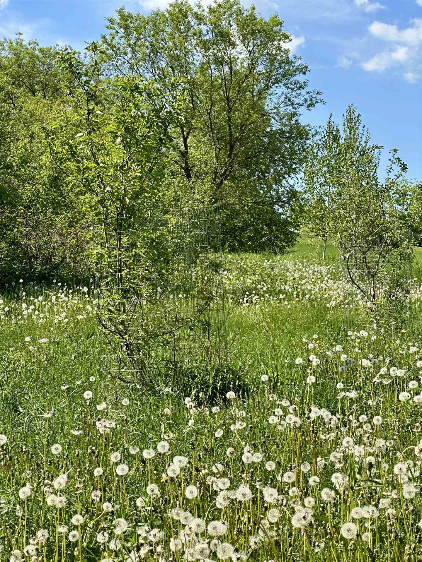 289 Pinnacle Road Richford VT 05476