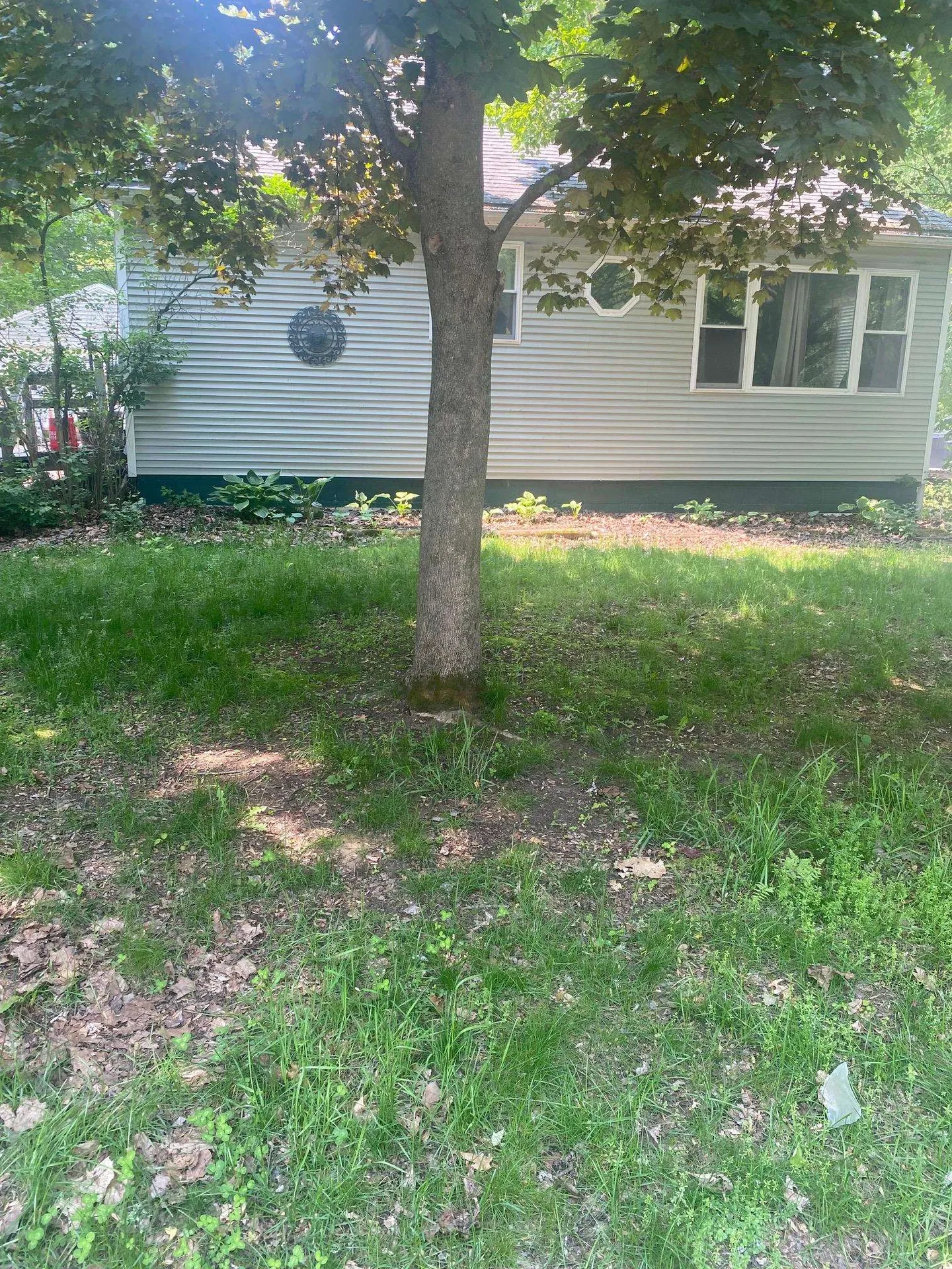 21 Clinton Street South Burlington VT 05403