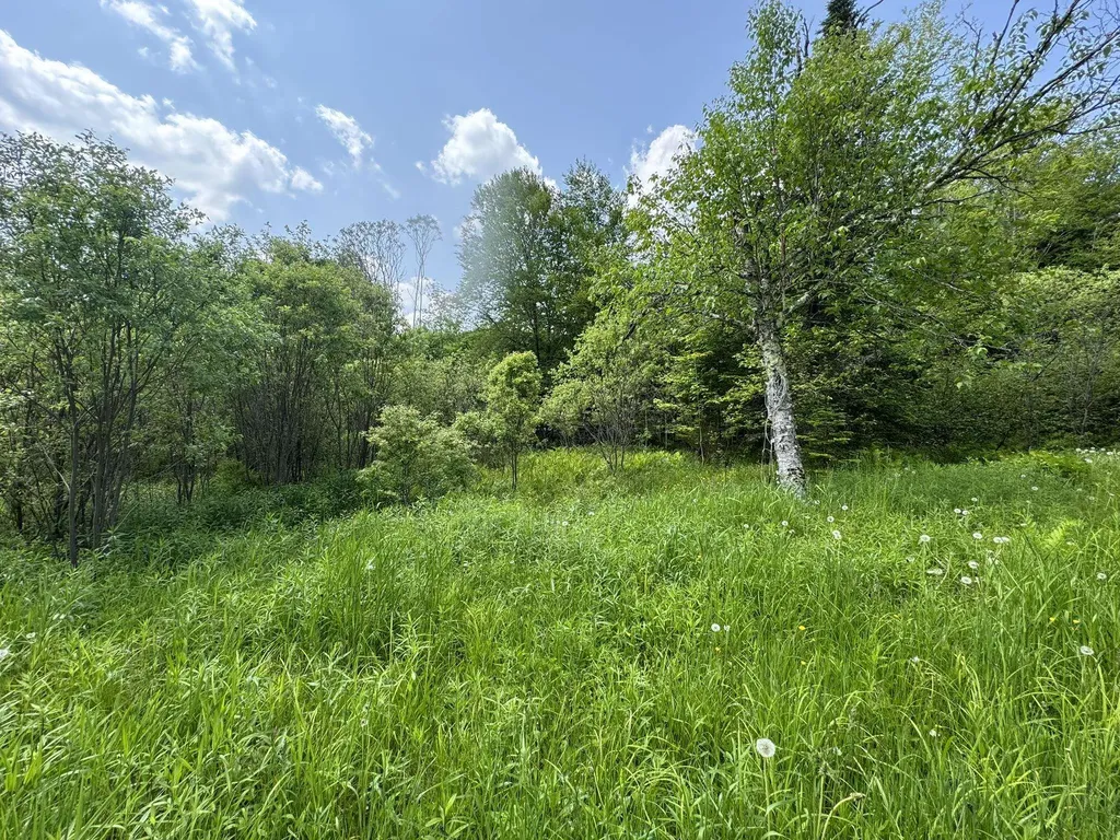 4 Novice Village Road Dover VT 05356