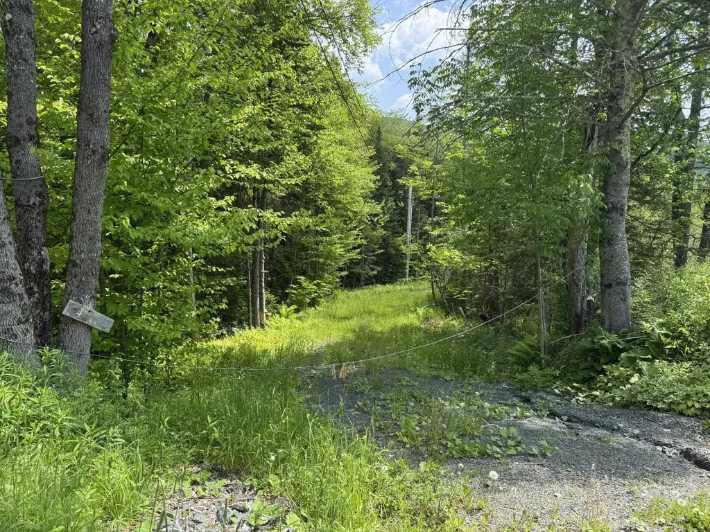 4 Novice Village Road Dover VT 05356