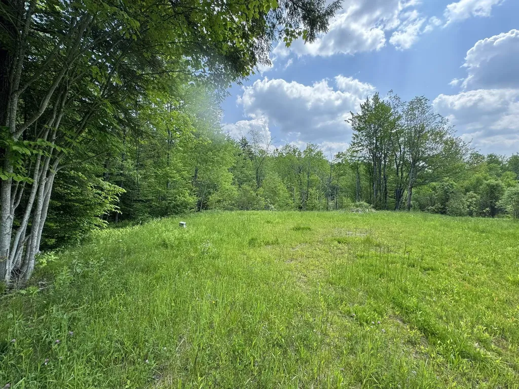 4 Novice Village Road Dover VT 05356