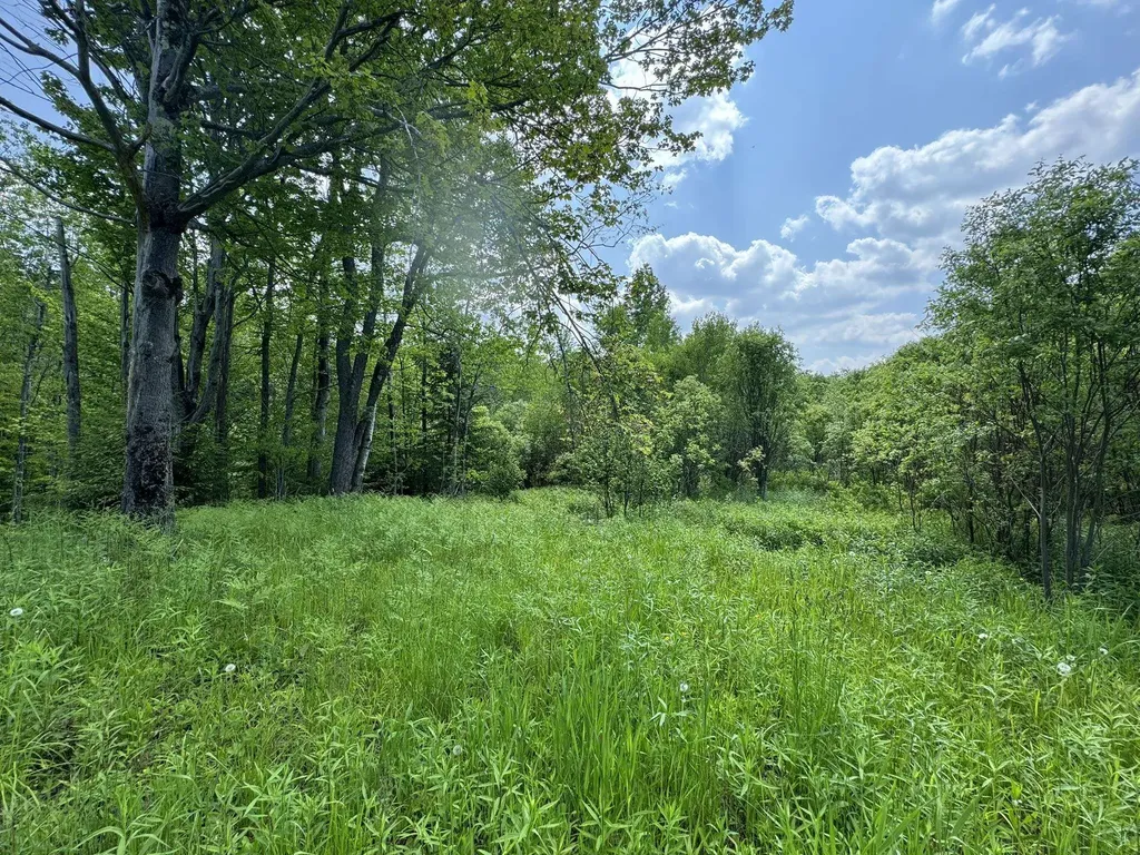 4 Novice Village Road Dover VT 05356