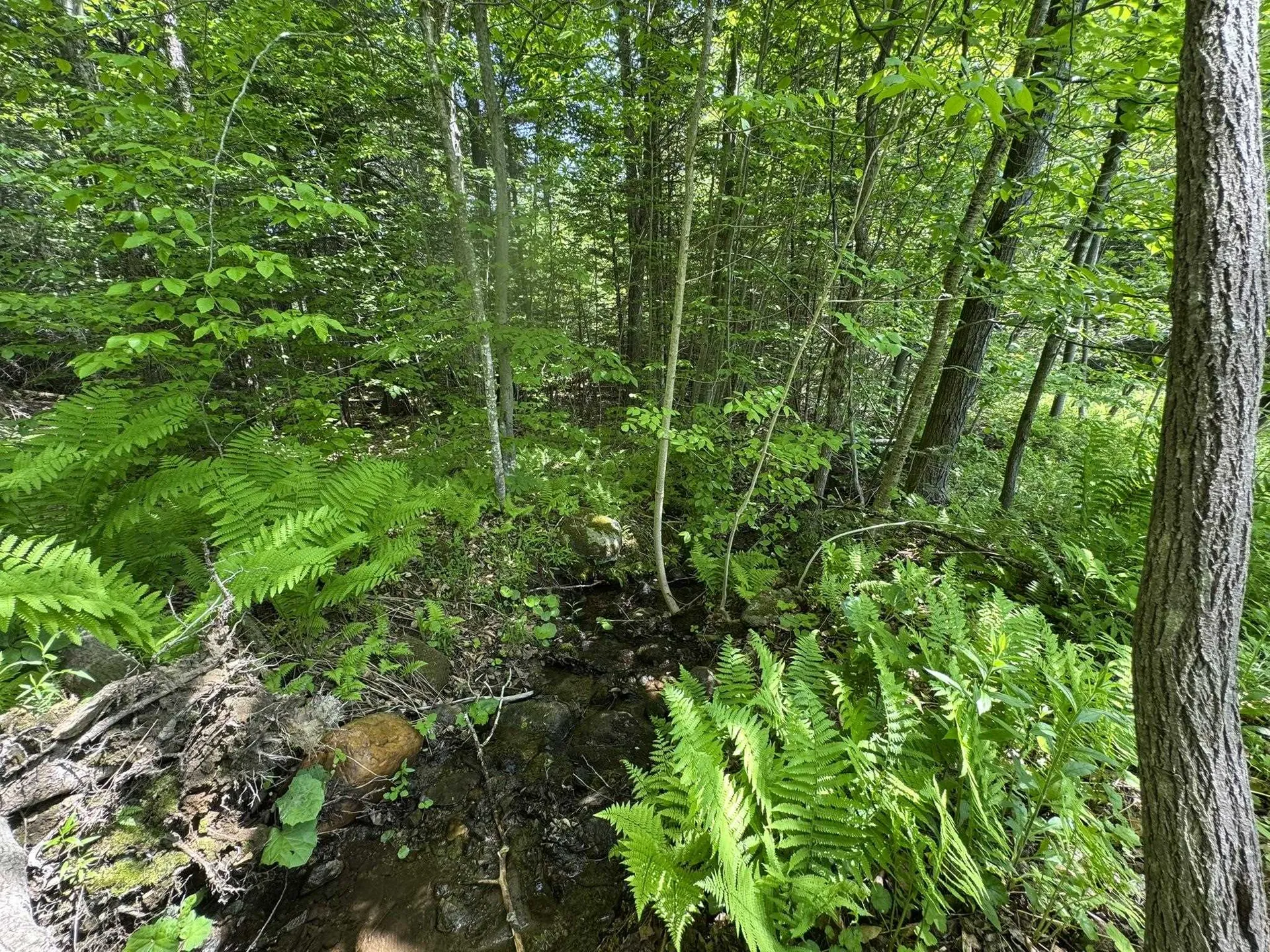 4 Novice Village Road Dover VT 05356