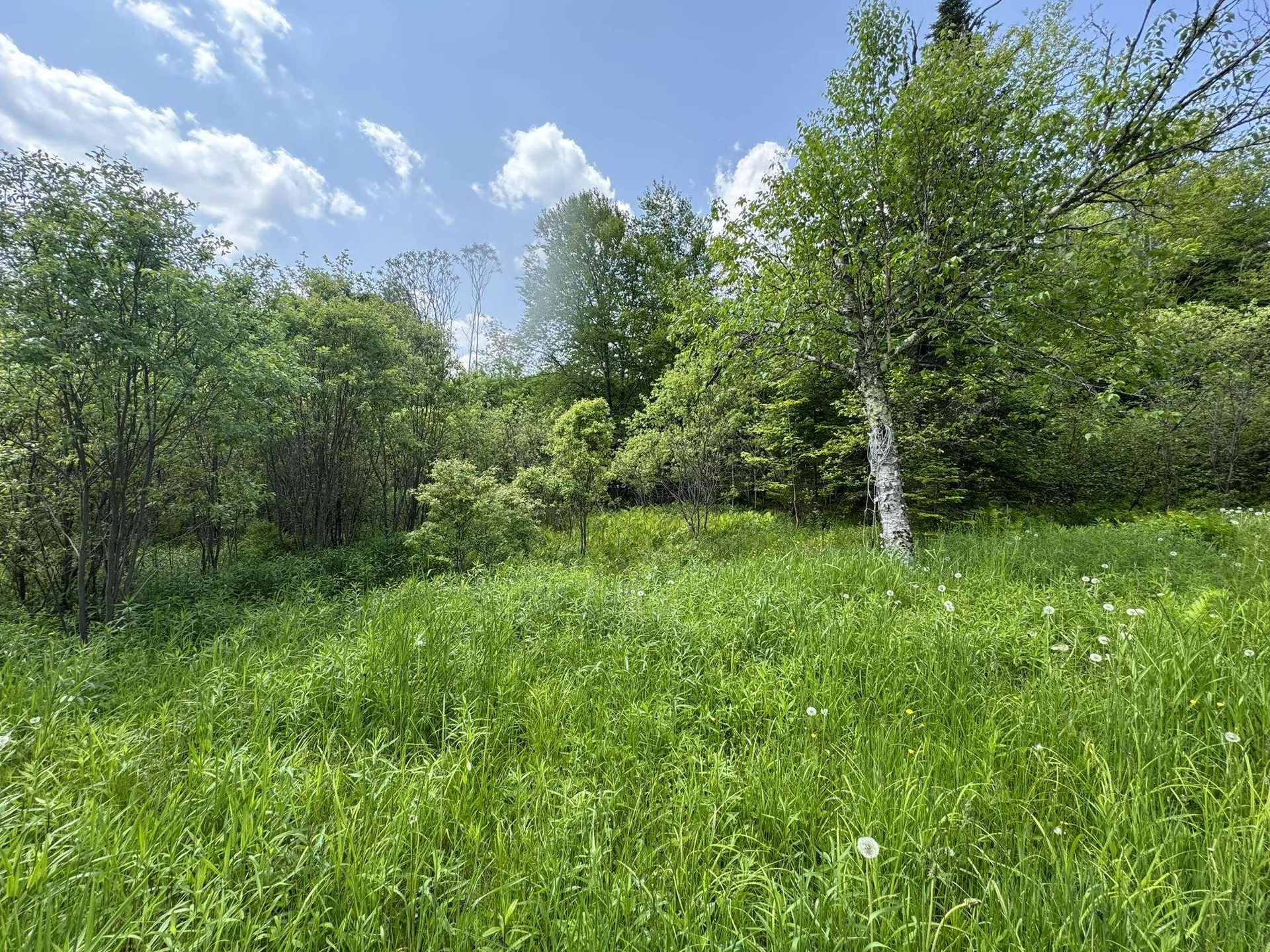 4 Novice Village Road Dover VT 05356