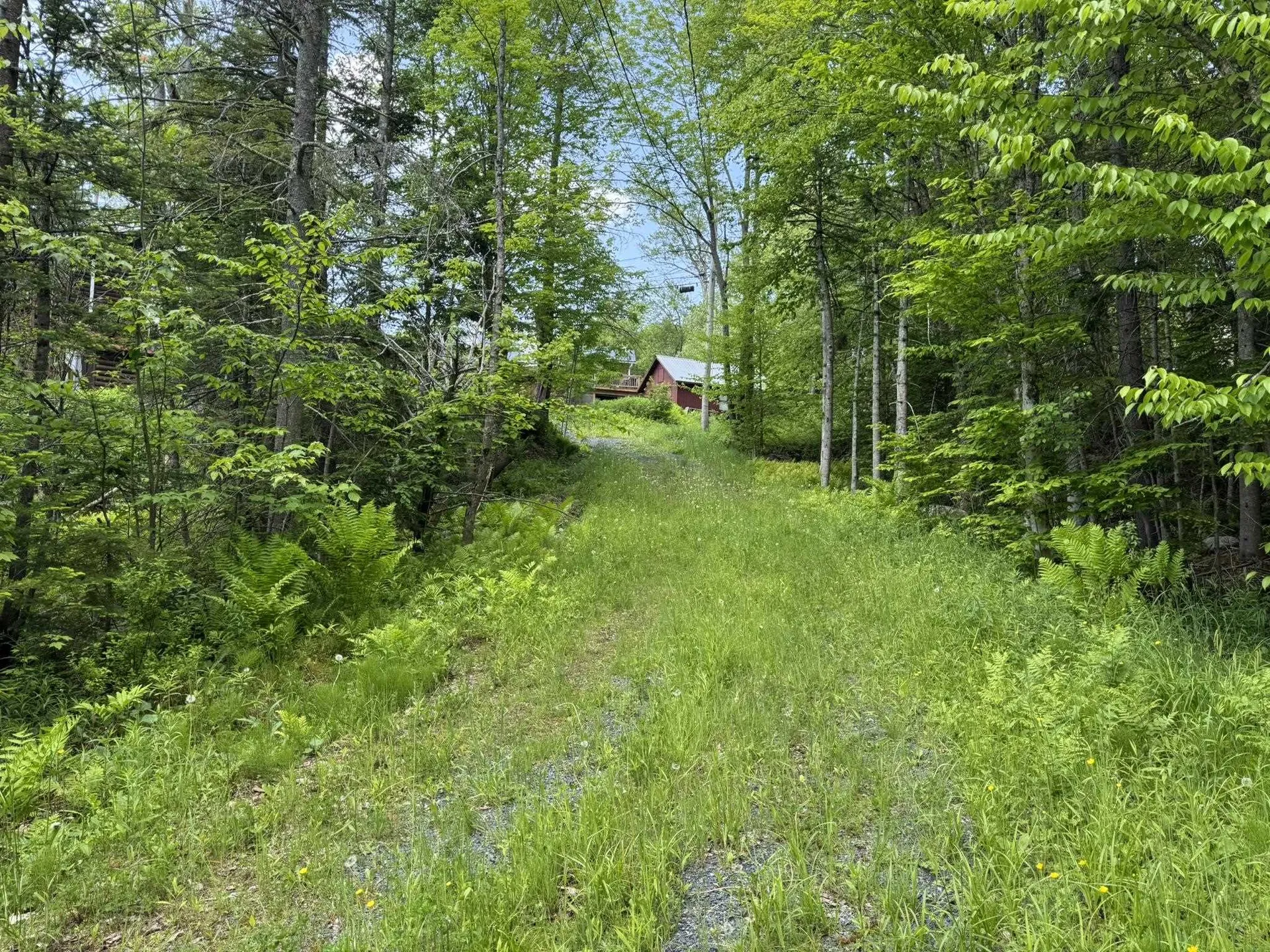 4 Novice Village Road Dover VT 05356