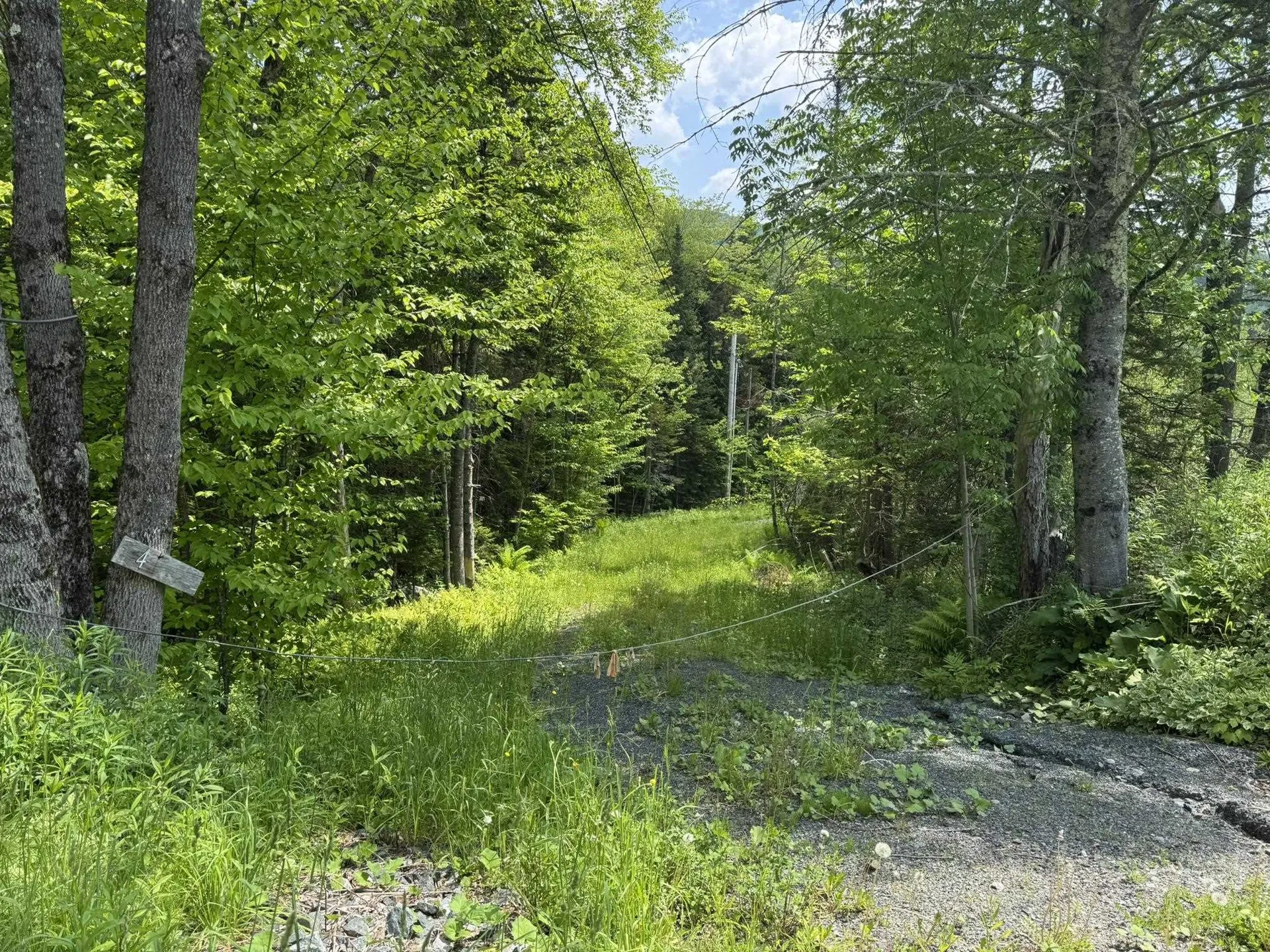 4 Novice Village Road Dover VT 05356