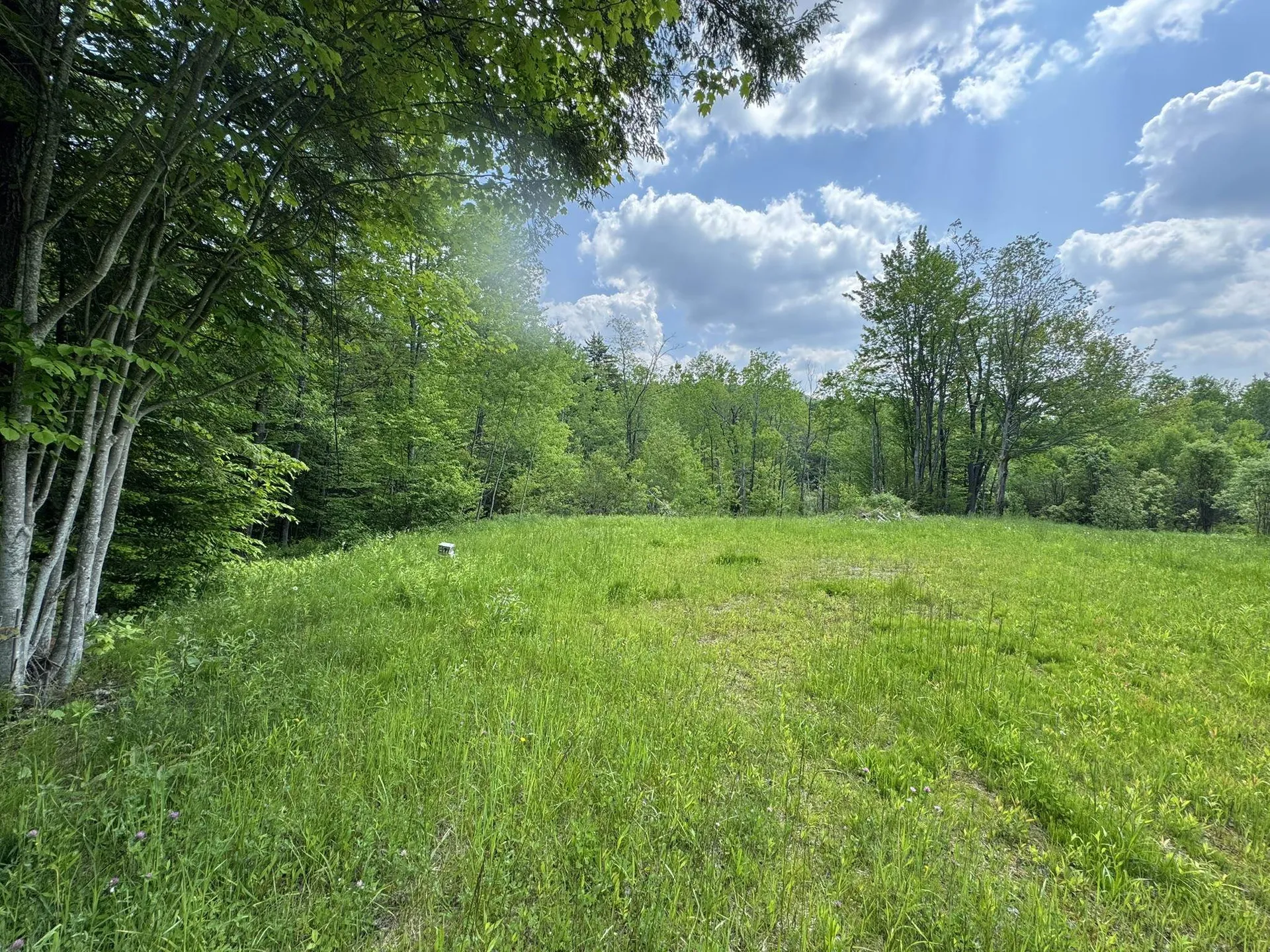 4 Novice Village Road Dover VT 05356