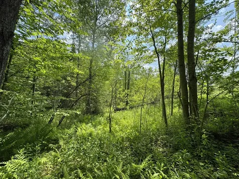 4 Novice Village Road Dover VT 05356