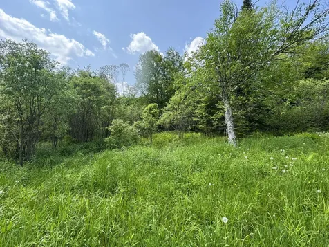 4 Novice Village Road Dover VT 05356