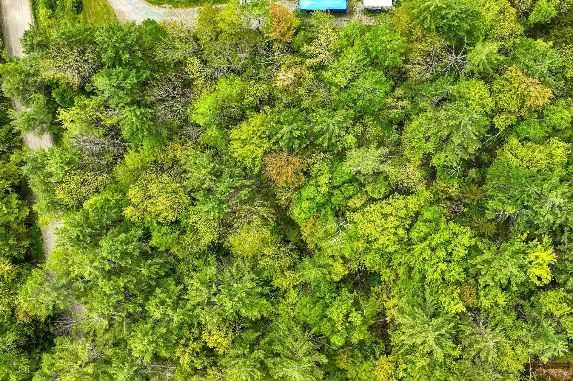 00 North Hill Pent Road Ludlow VT 05149