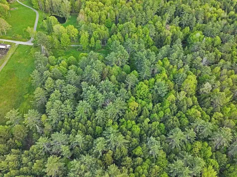 540 Moody Road Haverhill NH 03780