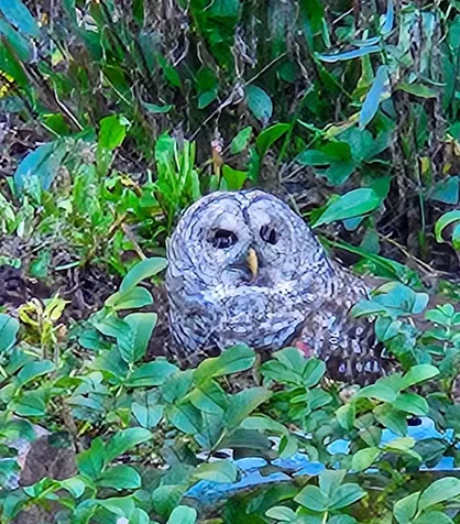 134 Natures View Drive Laconia NH 03246