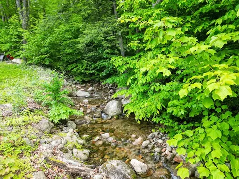 244 Rolling Ridge Road Bartlett NH 03812