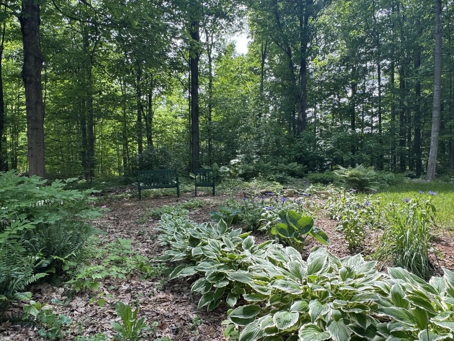 9 Hagan Drive Essex VT 05452