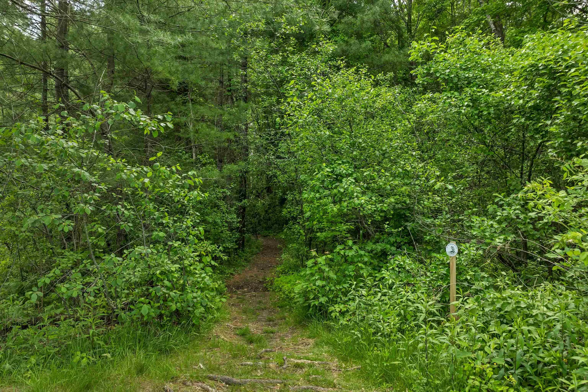 916 Springbrook Circle Portsmouth NH 03801