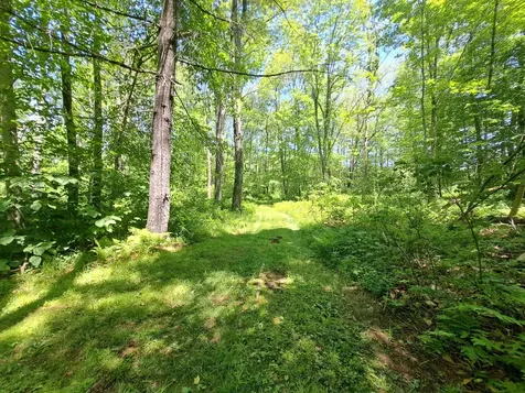 Bumps Intervale Road Campton NH 03223