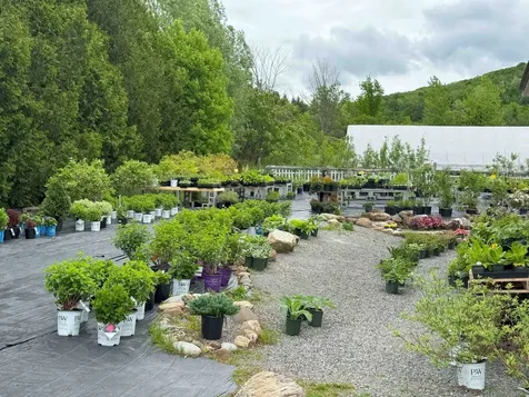1904 Sheldon Road Swanton VT 05488