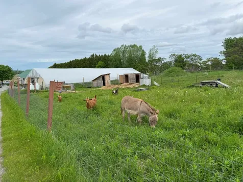 1904 Sheldon Road Swanton VT 05488