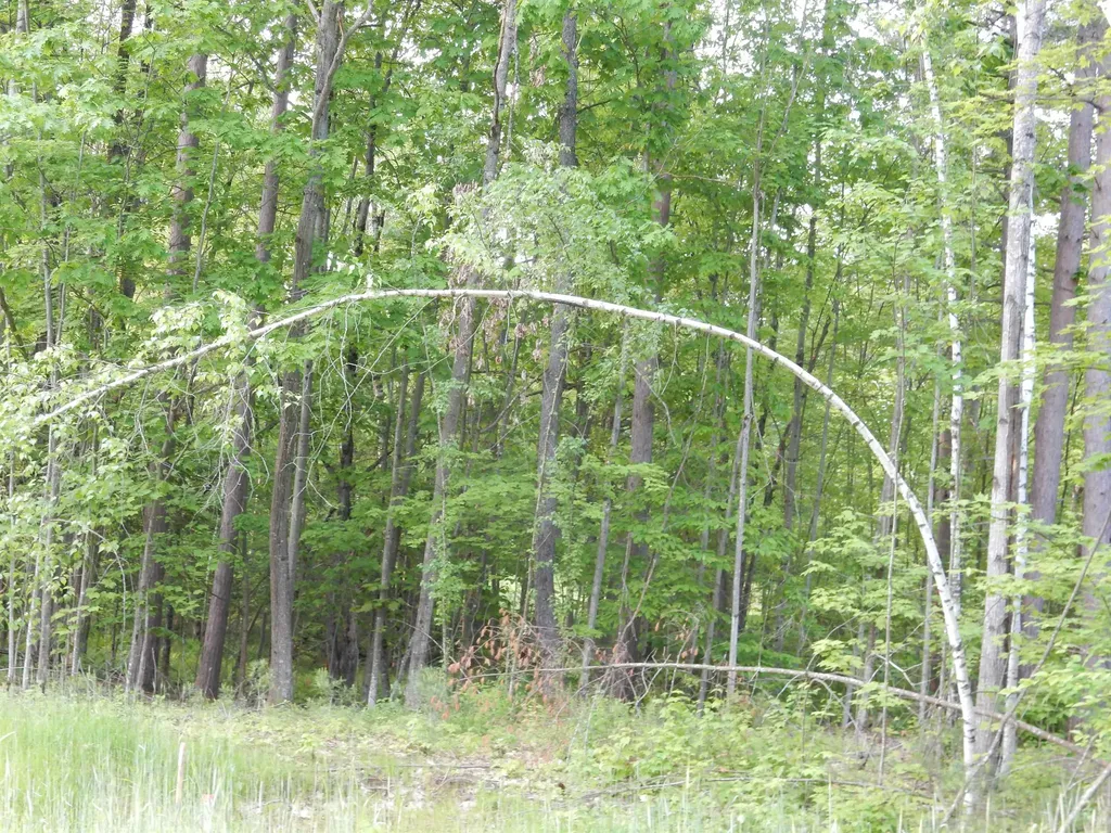 00 Pine Street Newport City VT 05855