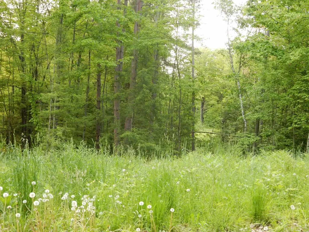 00 Pine Street Newport City VT 05855