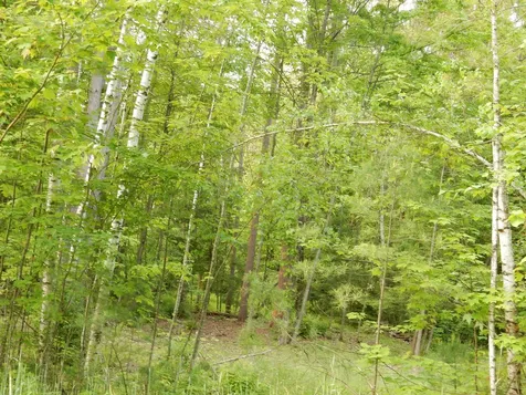 00 Pine Street Newport City VT 05855