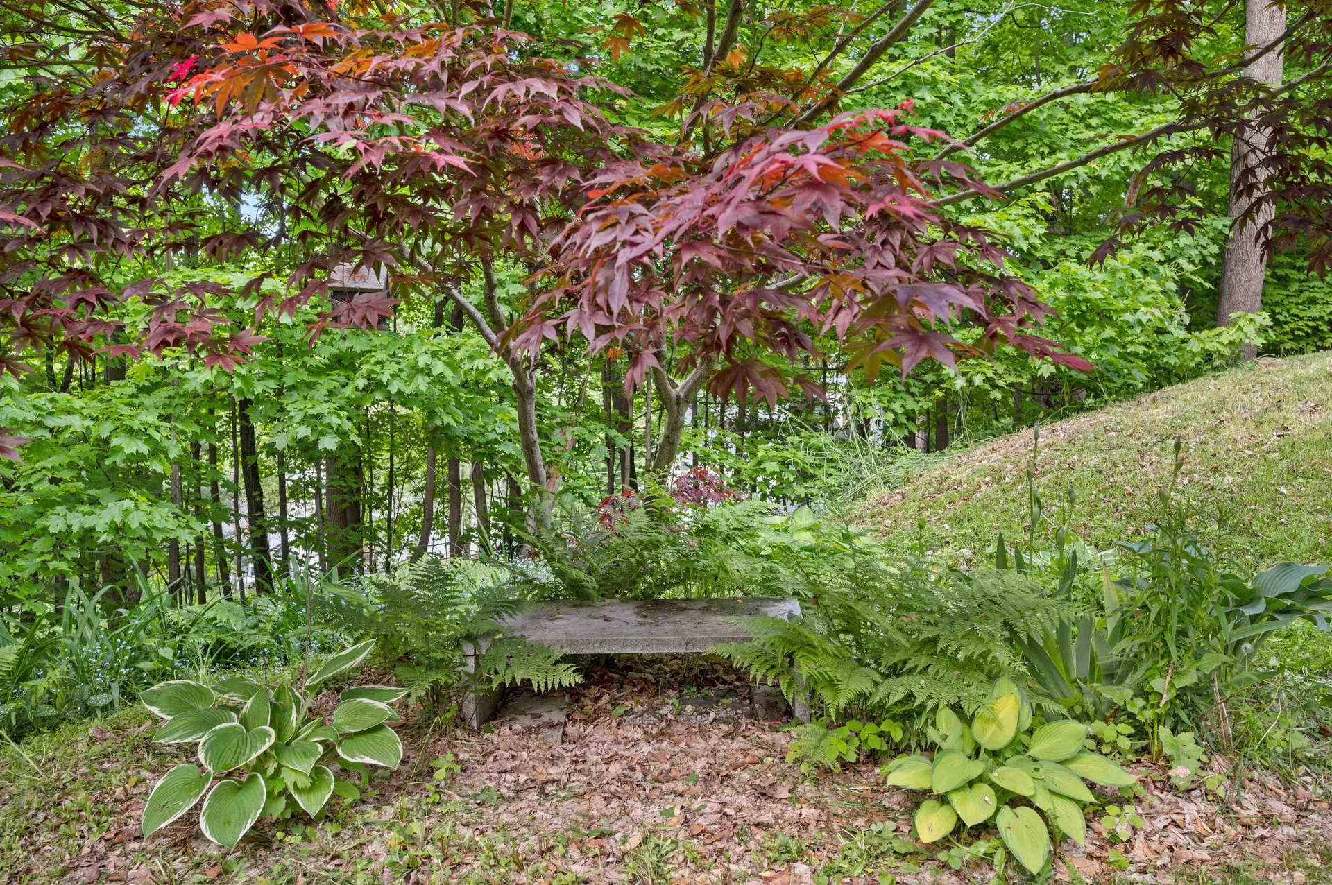 10 Hersey Drive Barre City VT 05641