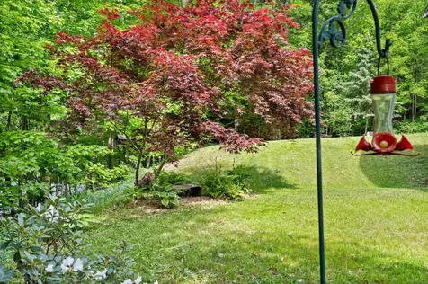 10 Hersey Drive Barre City VT 05641