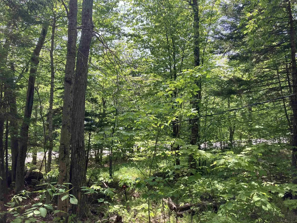 111 Binney Brook Road Wilmington VT 05363