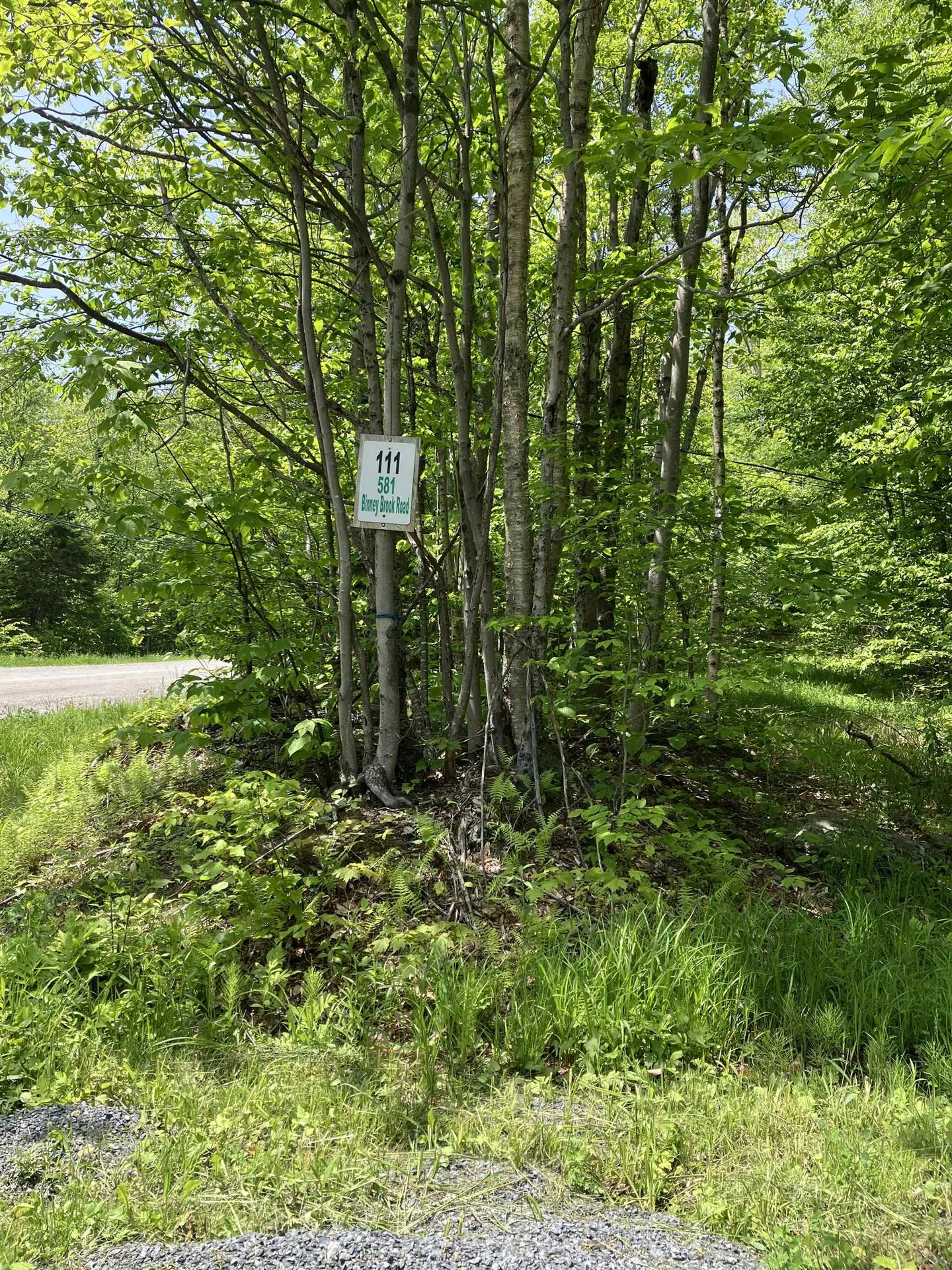 111 Binney Brook Road Wilmington VT 05363