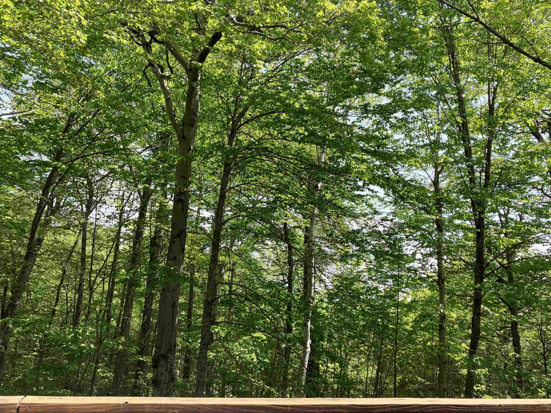 111 Binney Brook Road Wilmington VT 05363