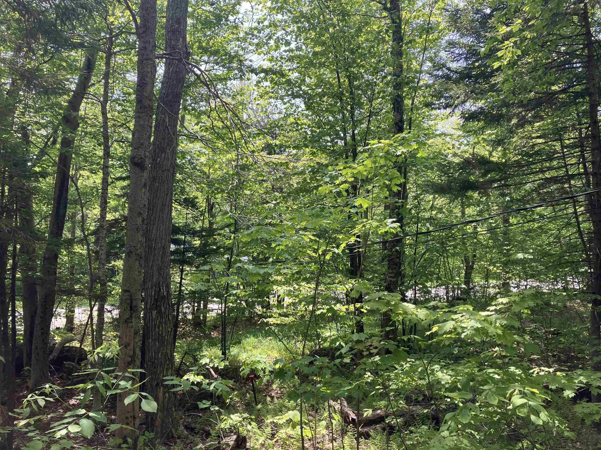 111 Binney Brook Road Wilmington VT 05363