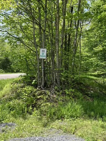 111 Binney Brook Road Wilmington VT 05363