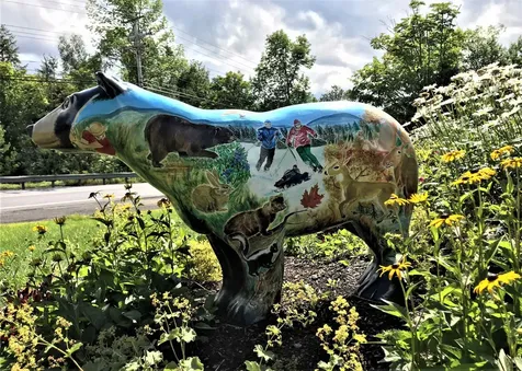 111 Binney Brook Road Wilmington VT 05363