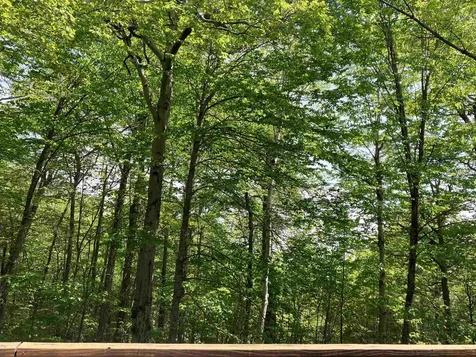 111 Binney Brook Road Wilmington VT 05363