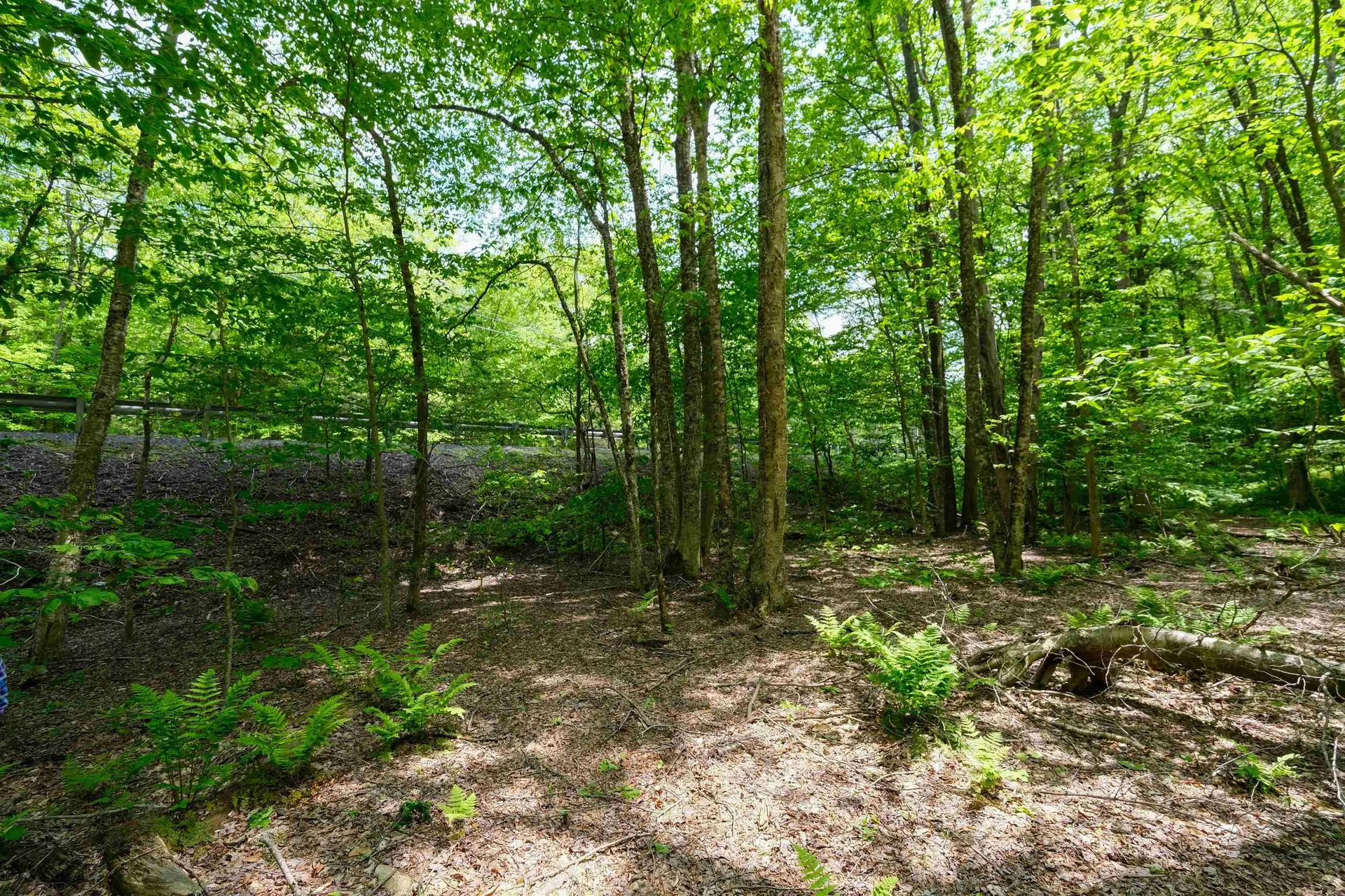 0 Route 100 N Plymouth VT 05056