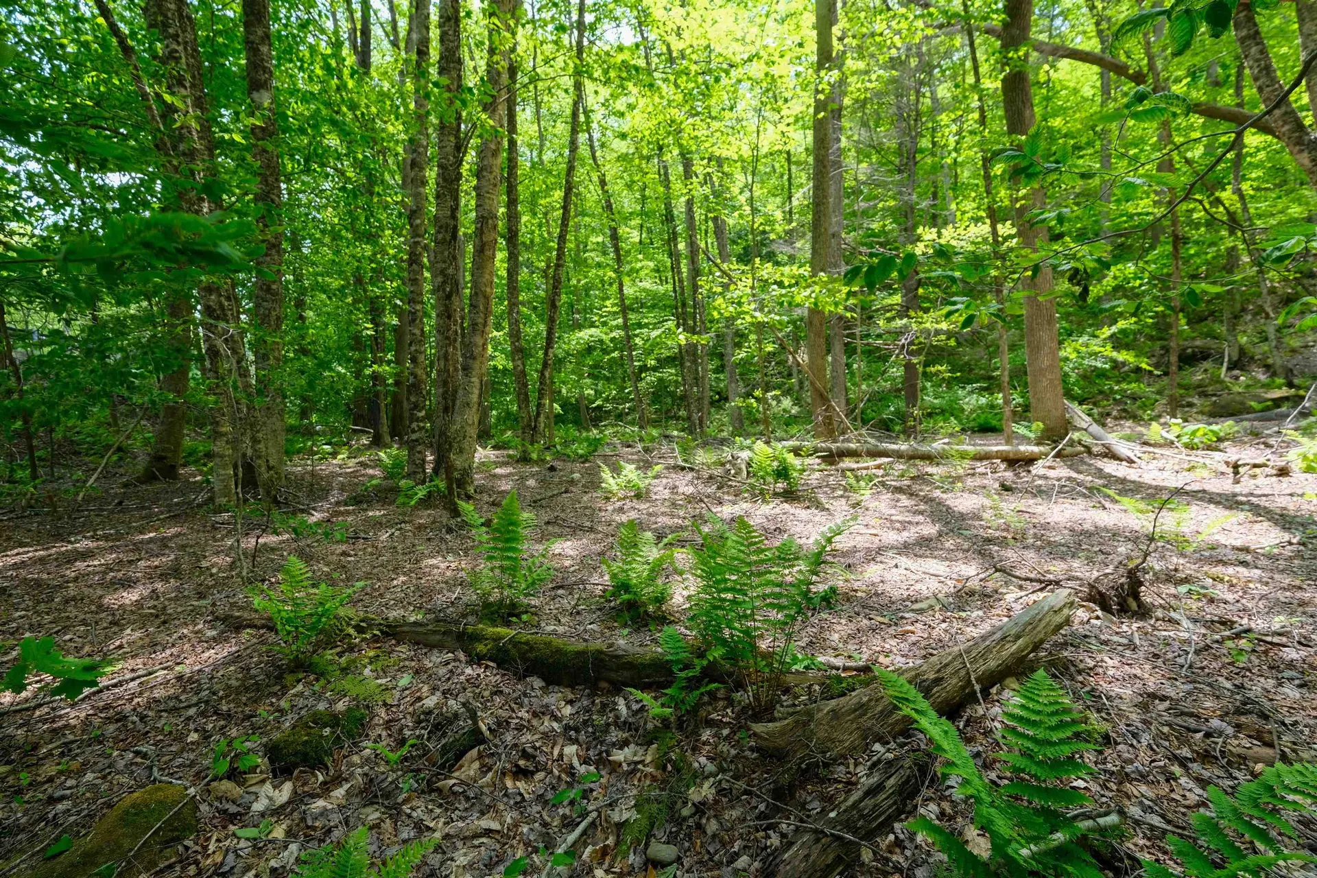 0 Route 100 N Plymouth VT 05056