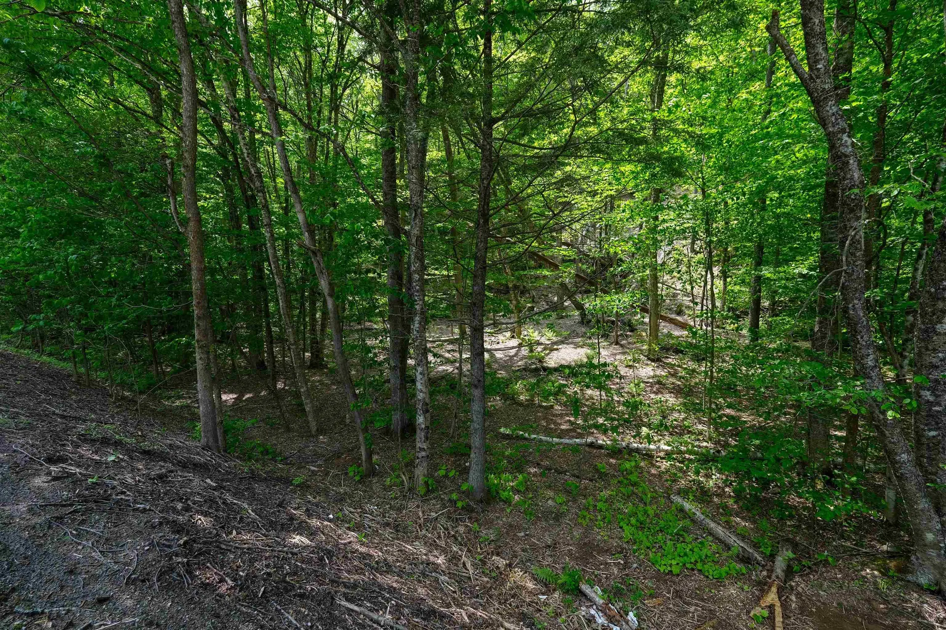 0 Route 100 N Plymouth VT 05056