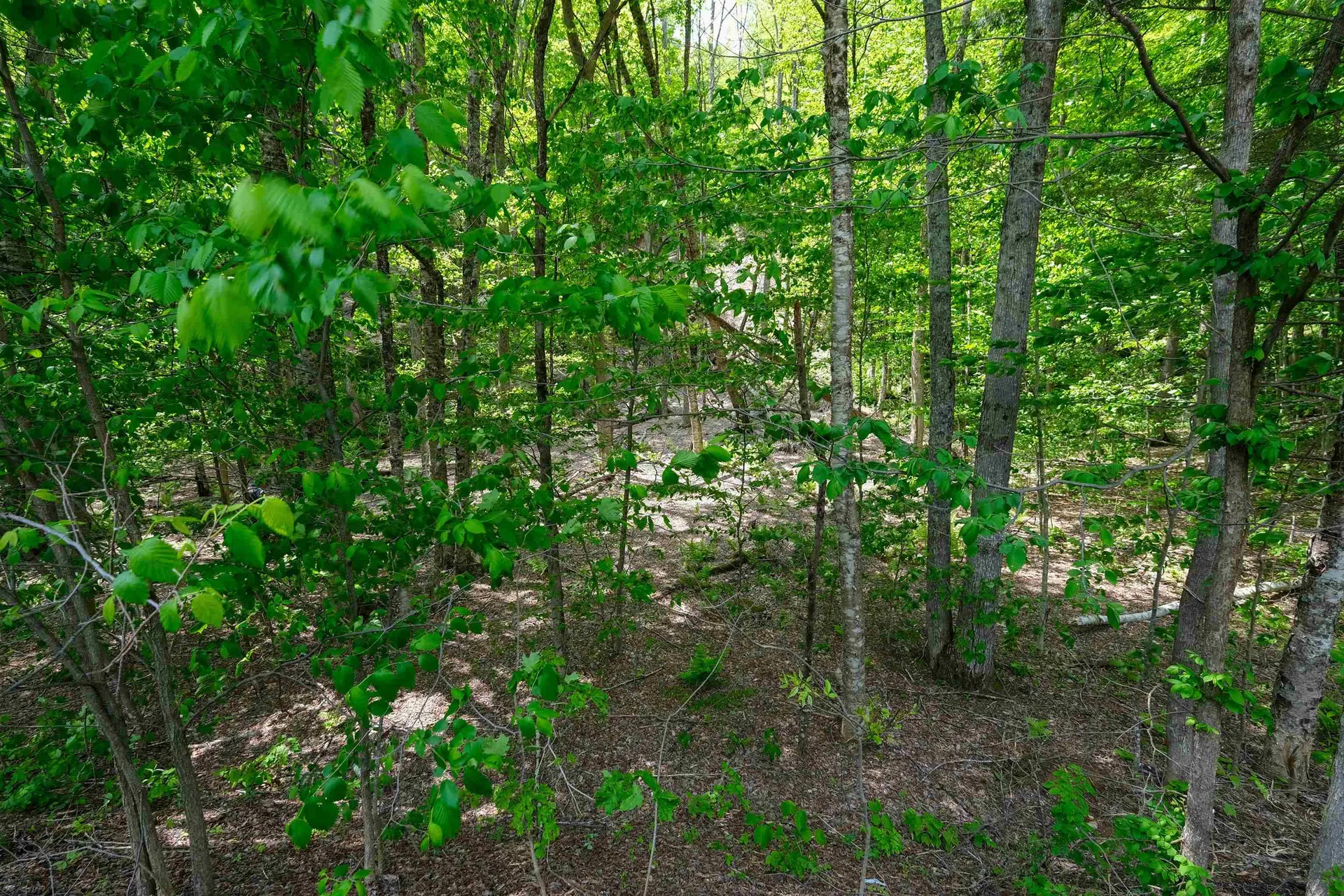 0 Route 100 N Plymouth VT 05056