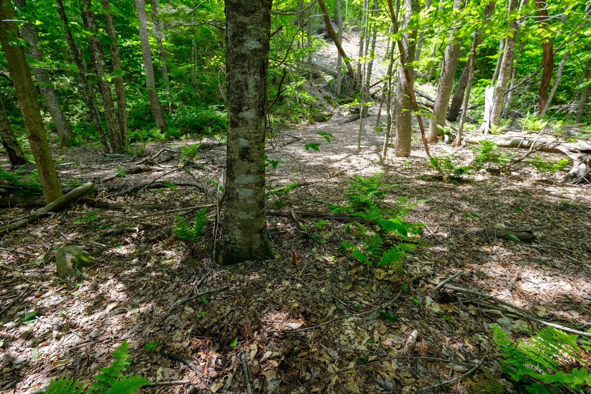 0 Route 100 N Plymouth VT 05056