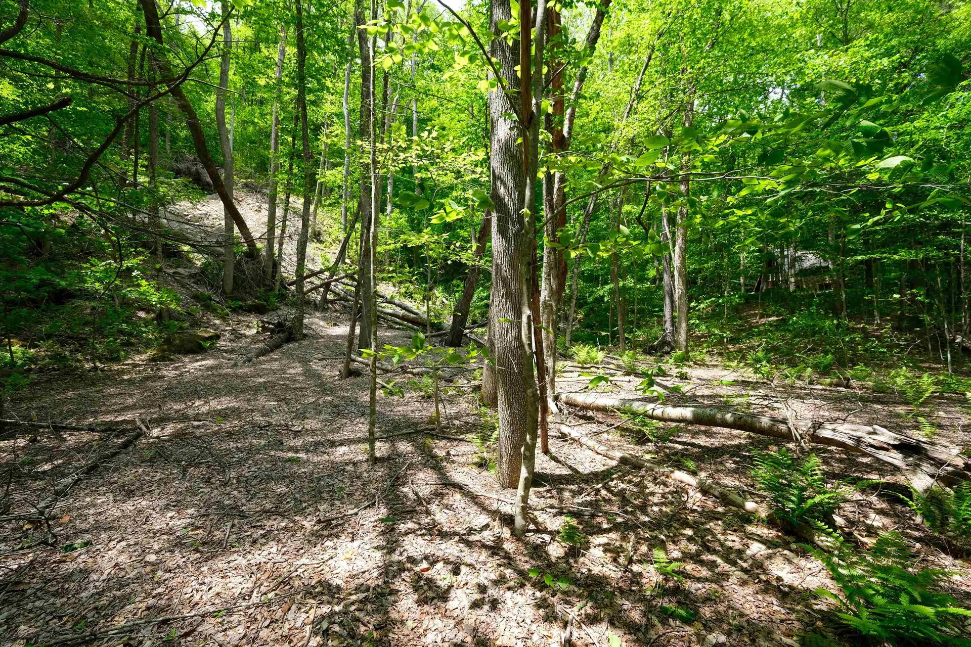 0 Route 100 N Plymouth VT 05056