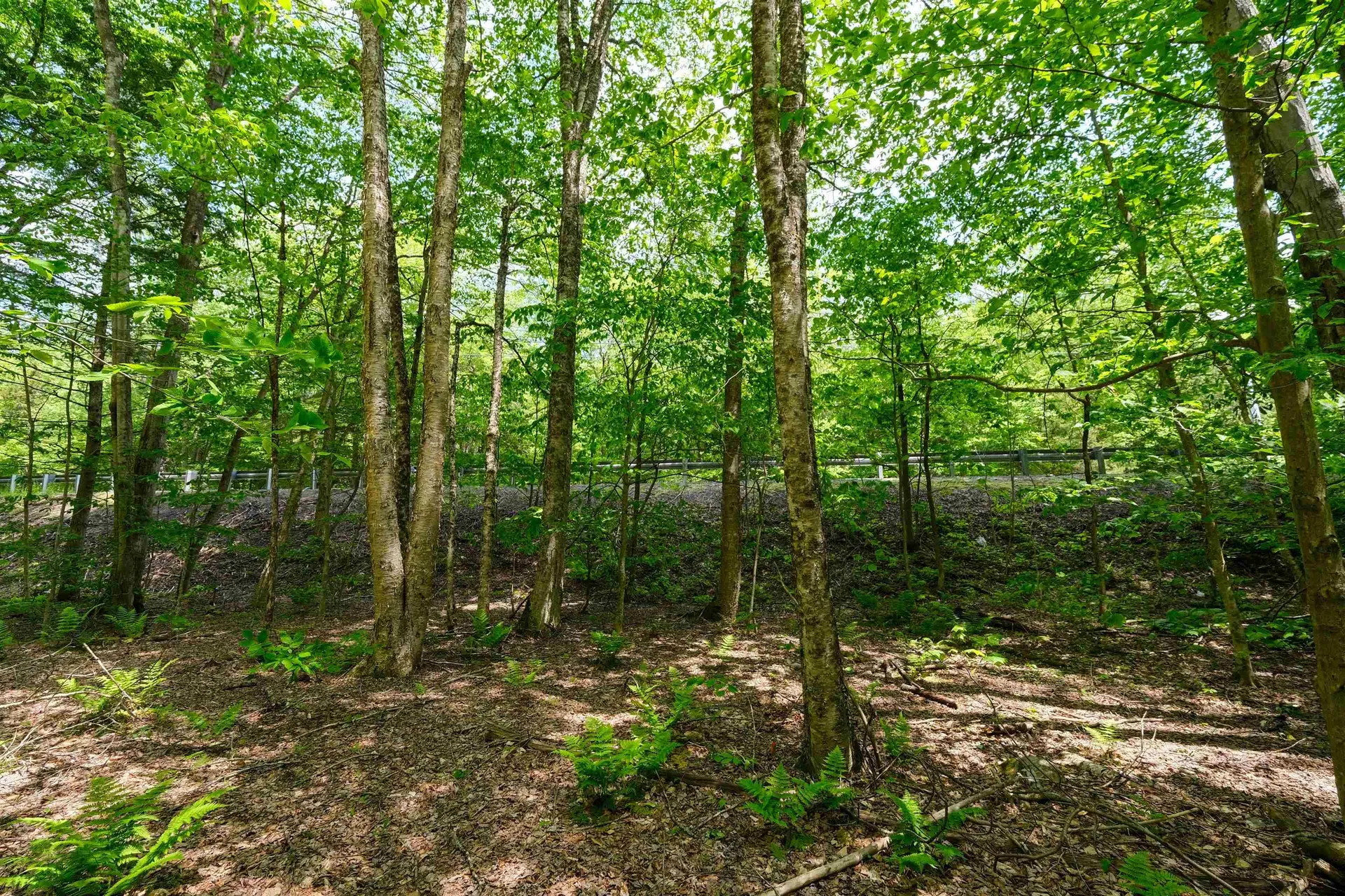 0 Route 100 N Plymouth VT 05056