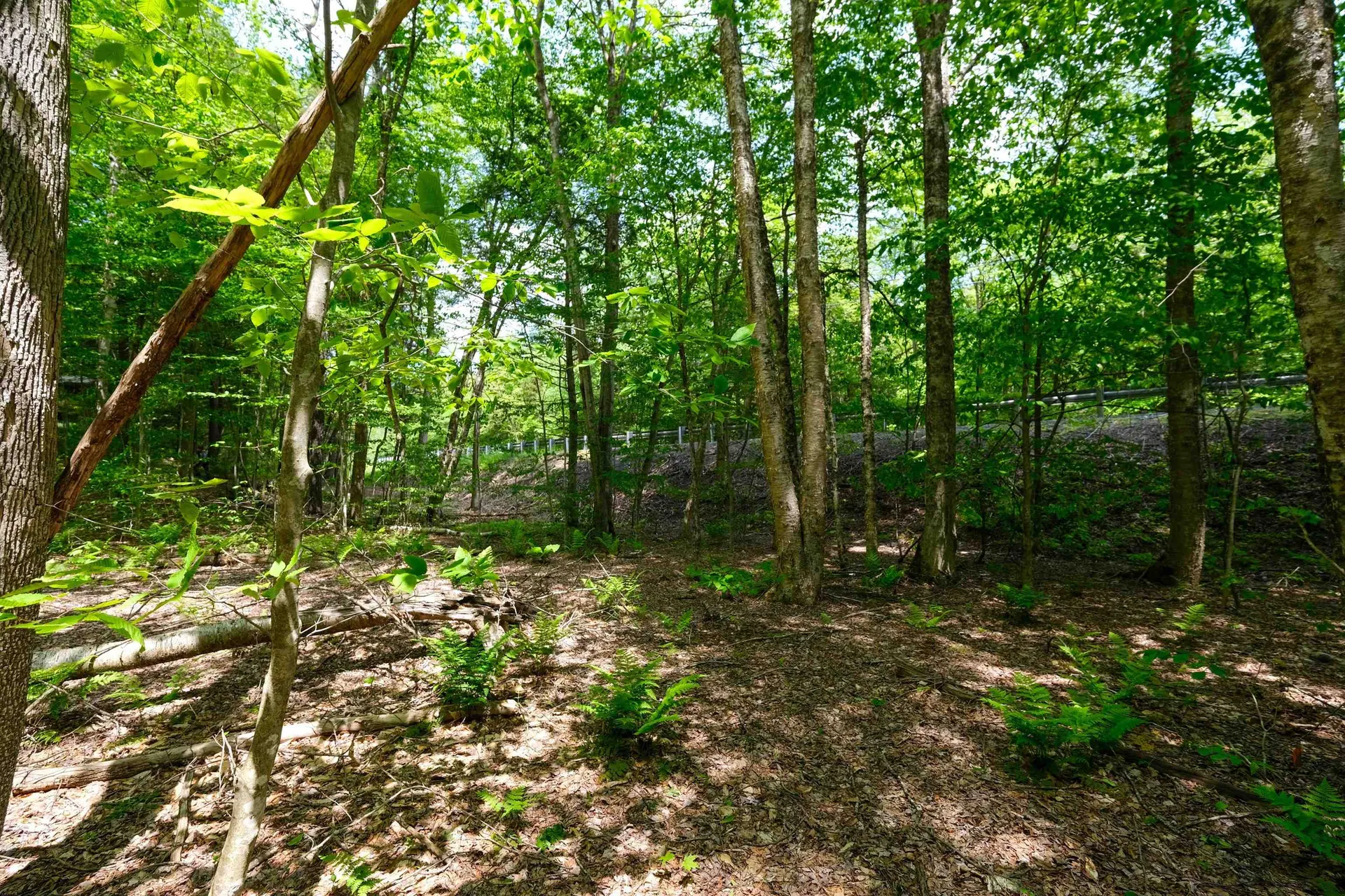 0 Route 100 N Plymouth VT 05056