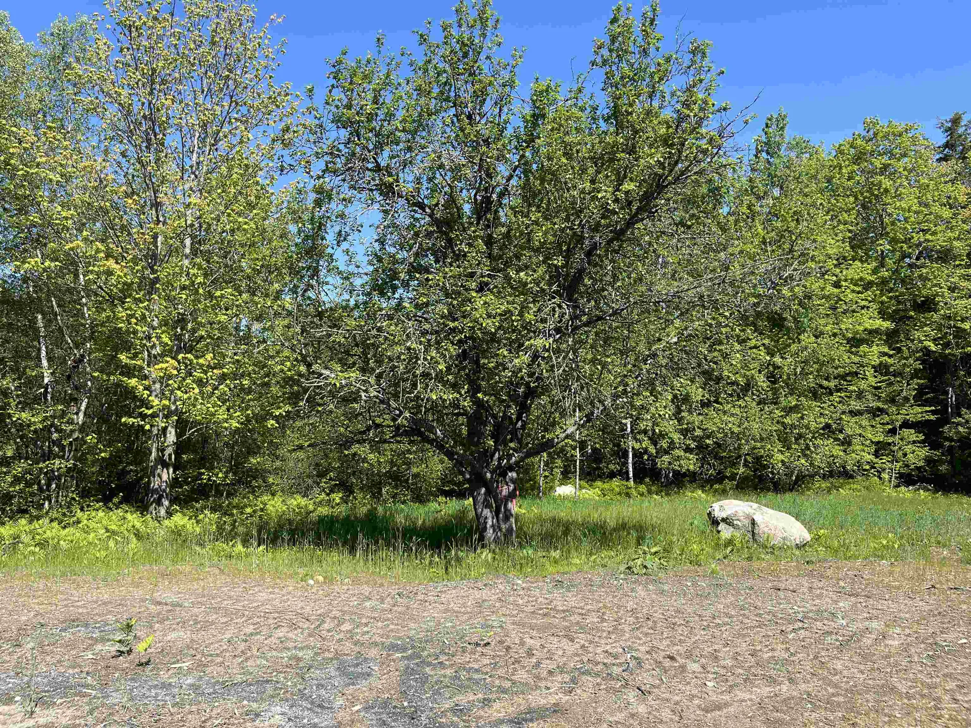 599 Maple Street Bethlehem NH 03574