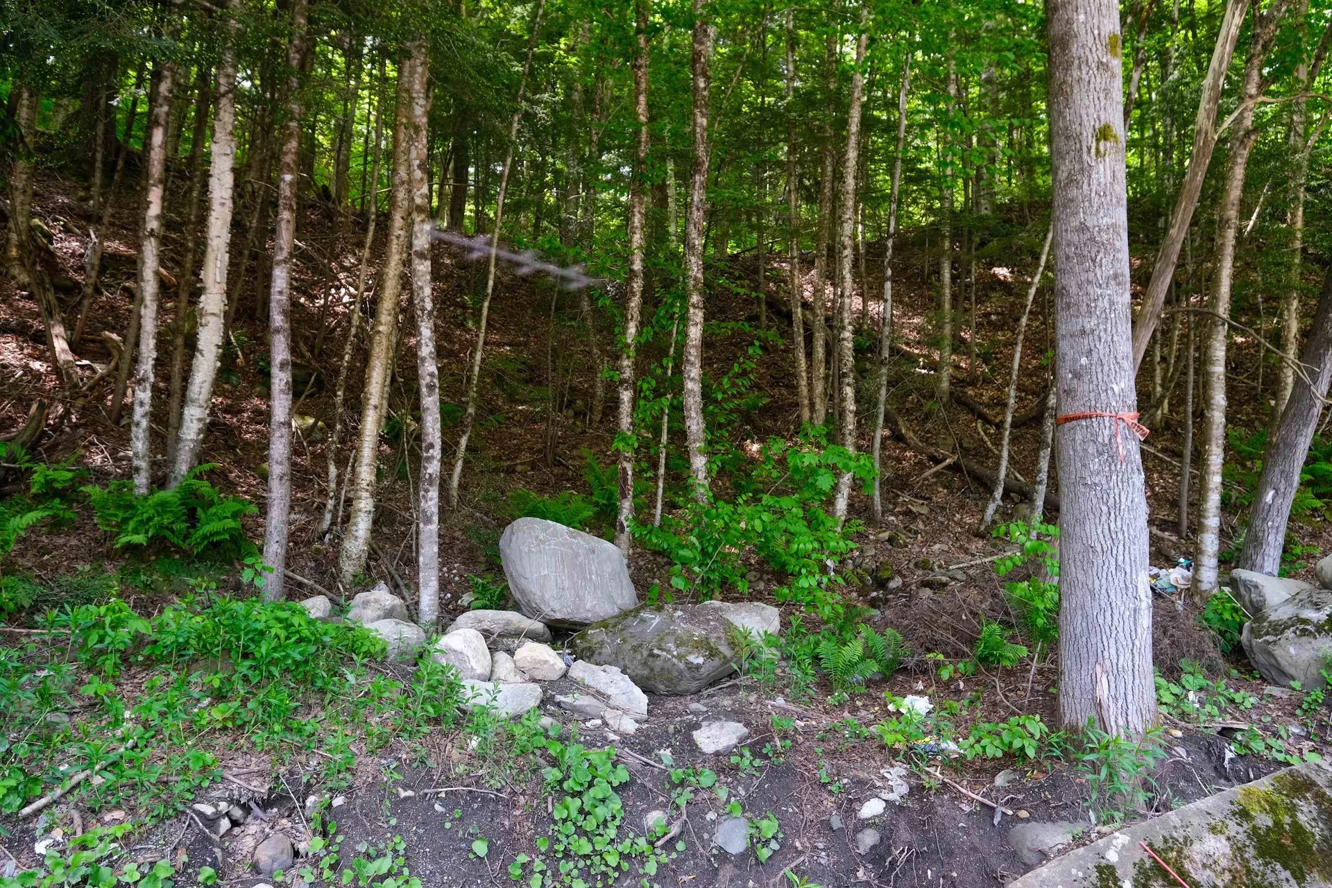 0 Crimson Hawk Road Plymouth VT 05056