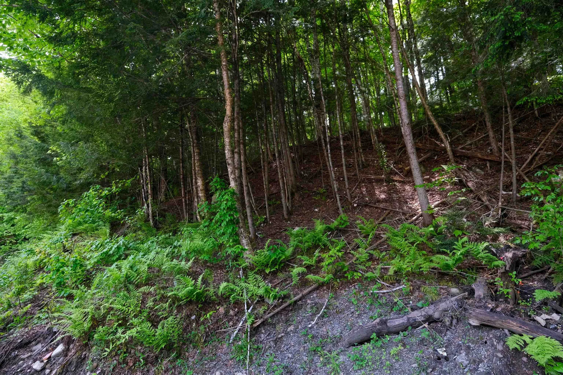 0 Crimson Hawk Road Plymouth VT 05056